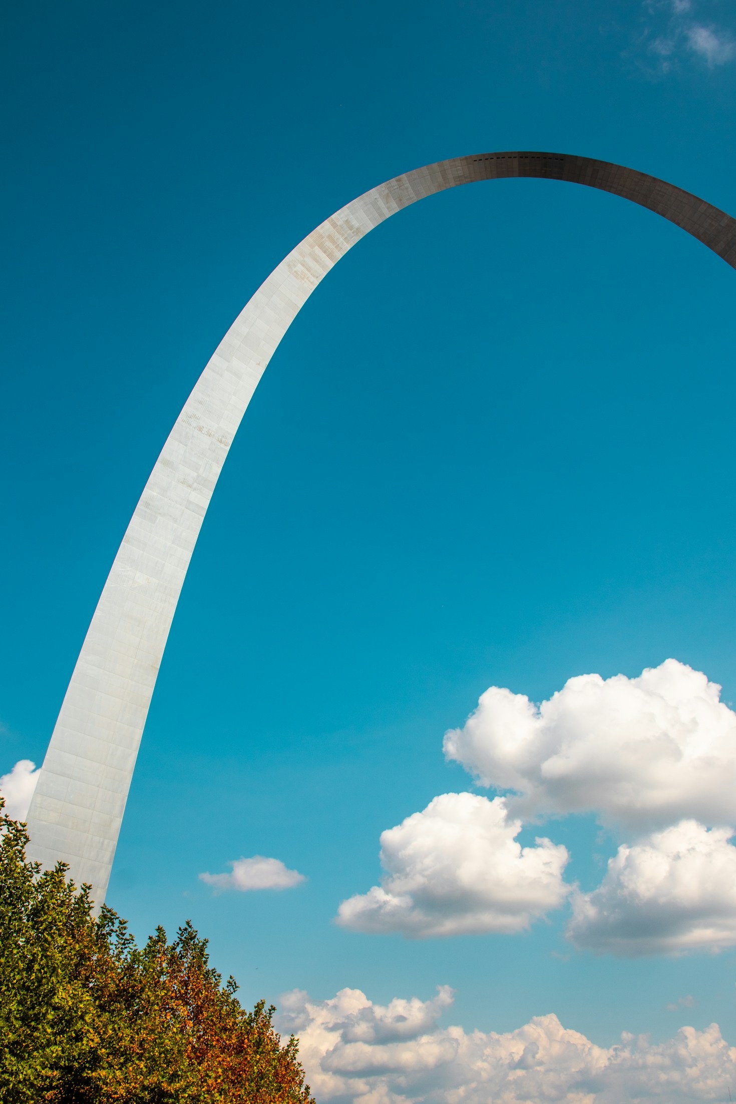 How Local Businesses Are Reshaping Missouri’s Economy