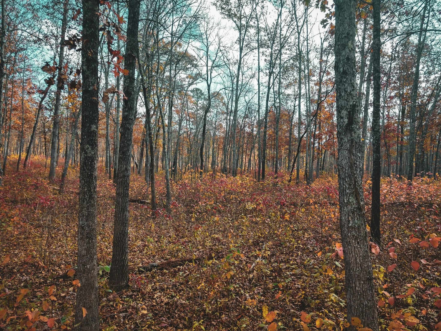 Your Weekly Roundup of Missouri’s Top Stories